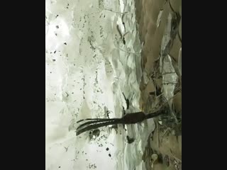 🔥 wall of ice that formed when the area experienced a flood and then a quick freeze the water on top froze while the water unde