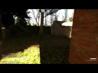 [quantum games] кот тролль vs собака маньяк в csgo!!!
