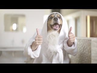 Утренние ритуалы