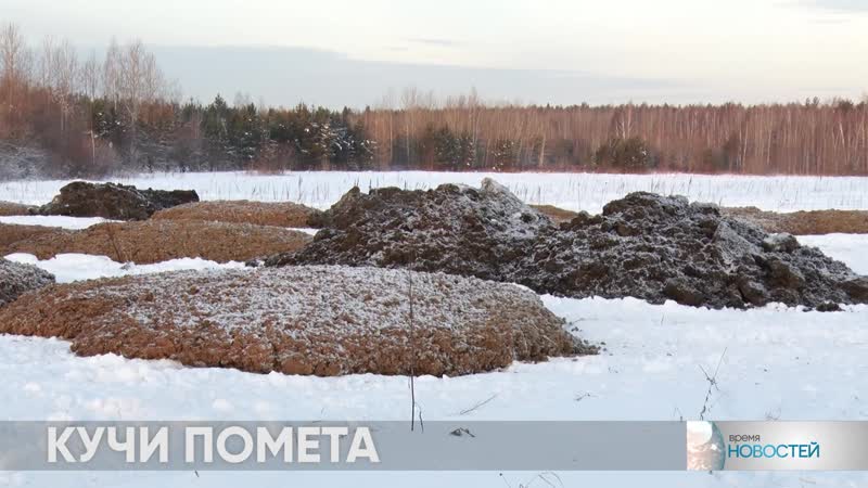 «телекон» кучи помёта