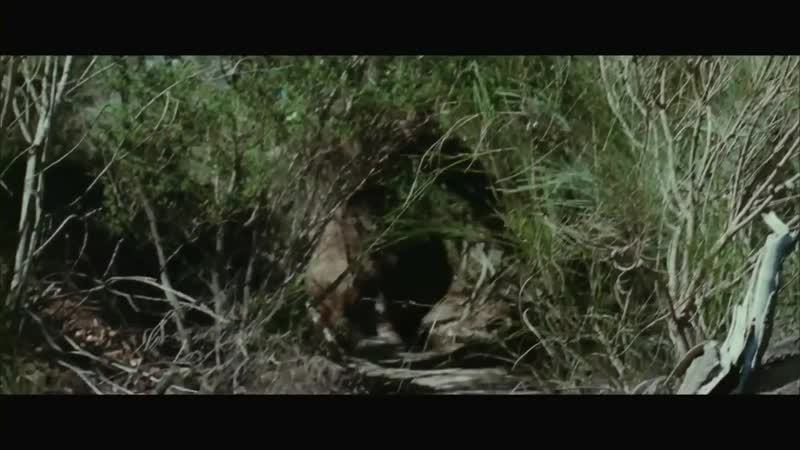 Медведь porn video – Медведь / bear