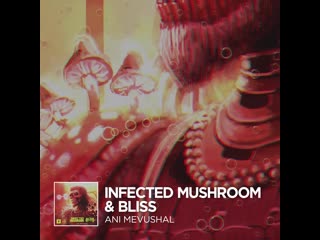 Infected mushroom & bliss ani mevushal