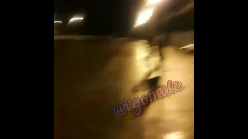 Шкуры гомеля +18