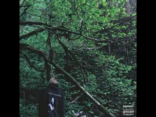 Pharaoh морион