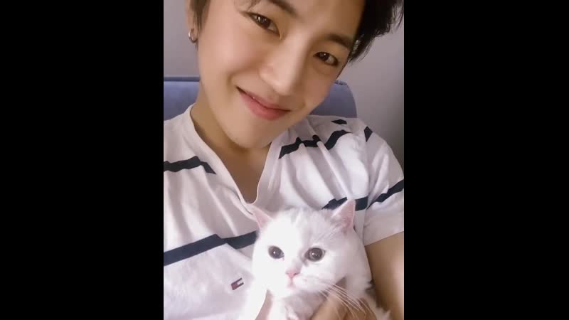 ㅋㅋㅋㅋㅋㅋㅋㅋ porn video – [에이스 동훈] 해와 두 번째 만남 ㅎㅎ 먼산 보는 거 아닙니다 편안한 표정이에요 ㅋㅋㅋㅋㅋㅋㅋㅋ 초이스 에이스 해 집사동동 choice ace