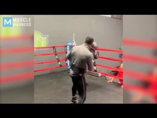 Yahu rock blackwell boxing training highlights muscle madness