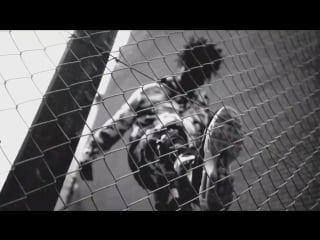 Scarlxrd hxw they judge