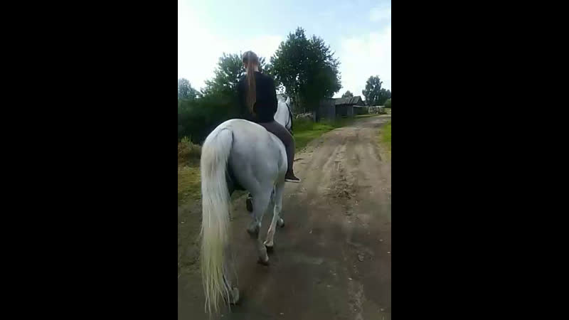 Гуляю с конем (парнем)