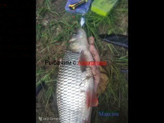 Копия bassday tube pole minnow 33s