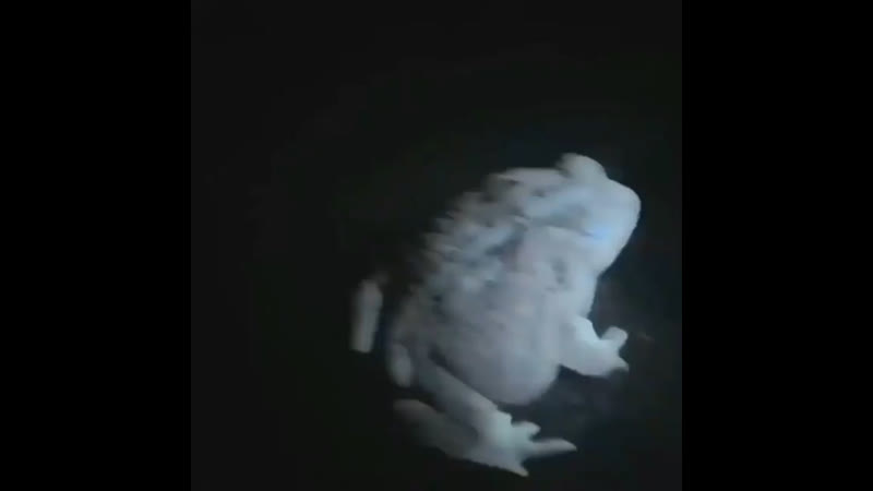 Красивые камушки