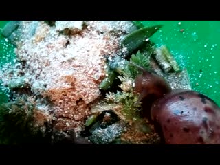 Cam 20190310 124507 3gp