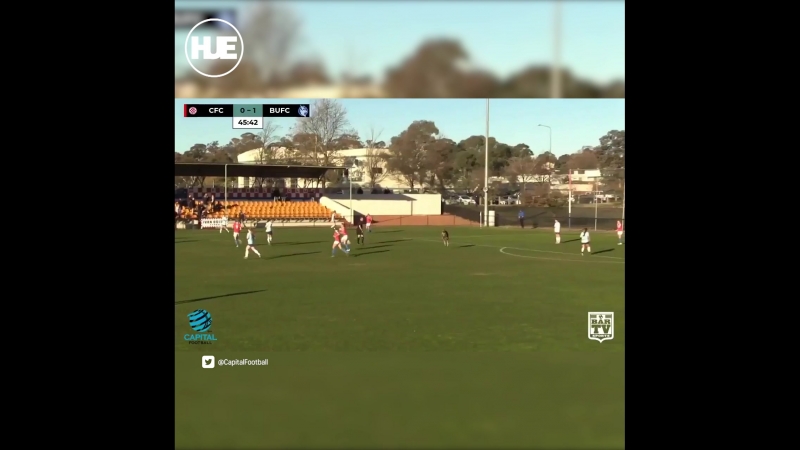 В австралии кенгуру вмешался в футбольный матч