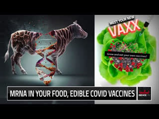 Mrna in your food, edible covid vaccines