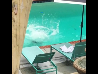 Vídeo de tony and annie cavalero ♥★