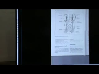 4 модуль, семинар 6(висцеральная сфера)день 2, ч 8