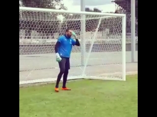 Тренироа гиоргия лория