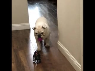 Starwars r2 q5 droid