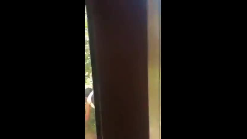 Ну ка свалили с лужайки!