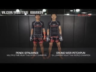 Muay thai elbow k o fight breakdown evolve university