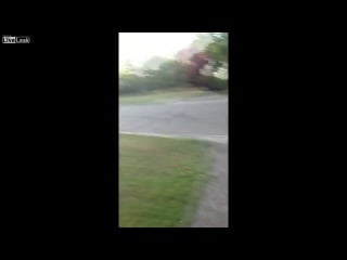 Маленькие девочки напали на белую мартышку