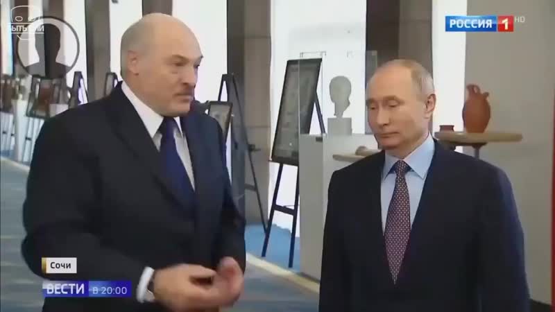 Ты посмотри на эту скотину