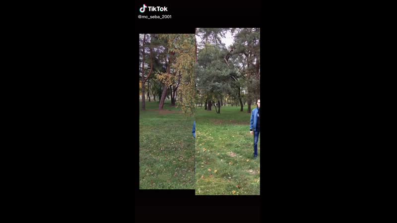 Жестко флексим