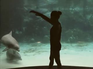 Girl makes dolphin laugh (extended) original