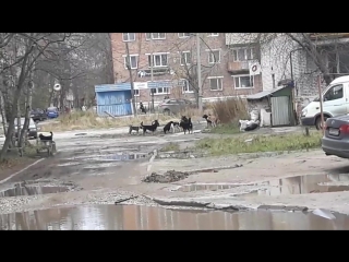 Видео от алины брагиной подоровой