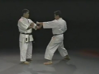 A lecture on kata and bunkai by morio higaonna sensei