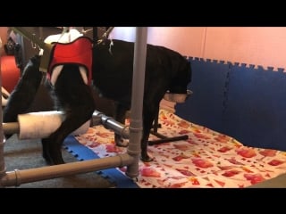 Барин кушает