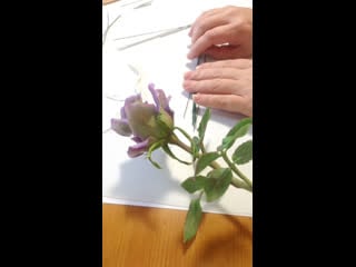 Live ah flowers астахова светлана