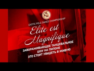 Art & exotic pole dancе championship "ellit est magnifique"/02 12 2017