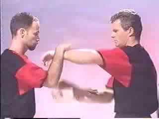 German wingtsun masters chi sau