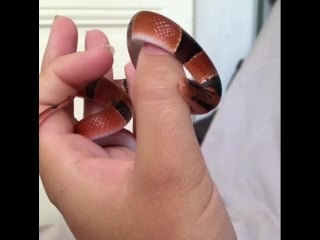 Немного кусь не желаете?