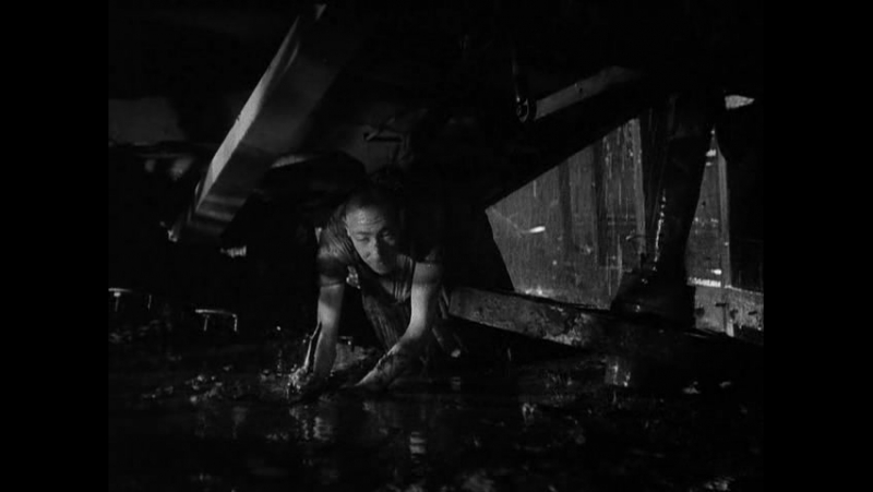 "уродцы" (freaks, 1932) тод браунинг