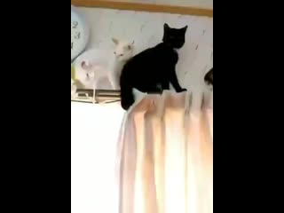 Jinmin by porn ⁺¹⁸