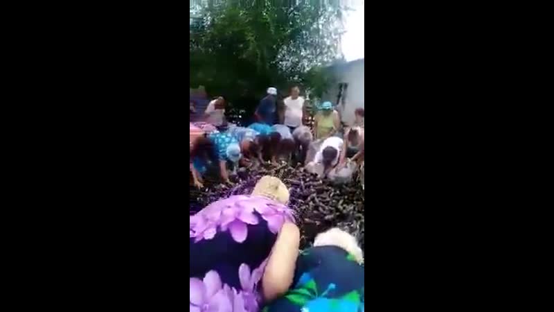 Пан ляшко агитирует в львовской области