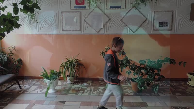 У лукоморья