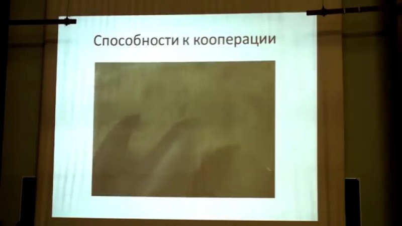 Киты и дельфины нечеловеческий интеллект филатова о а