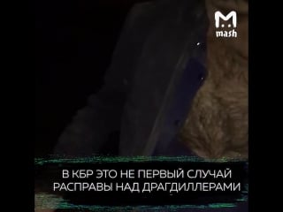 Жители кбр наказывают закладчиков молодые