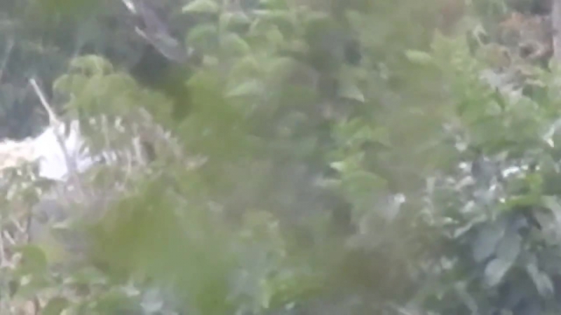 Удачный выстрел снайпера всн в окрестностях донецка, днр #3