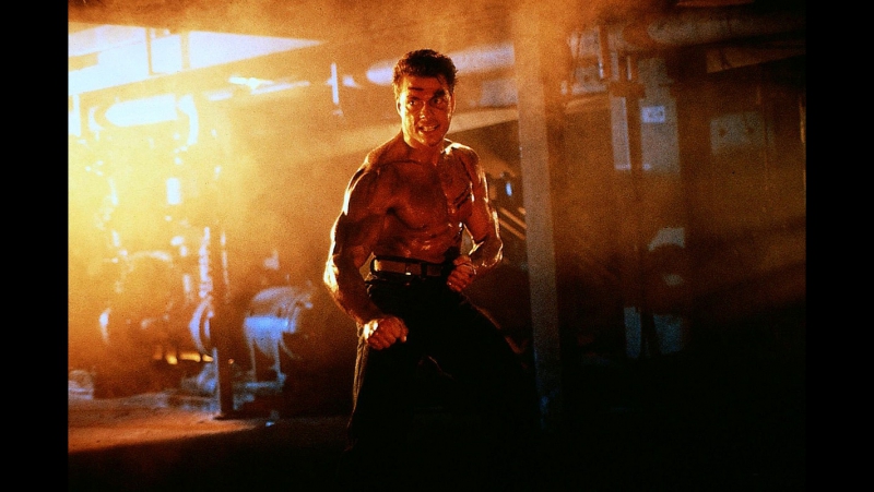 Jean claude van damme porn warrant | 1990 hd