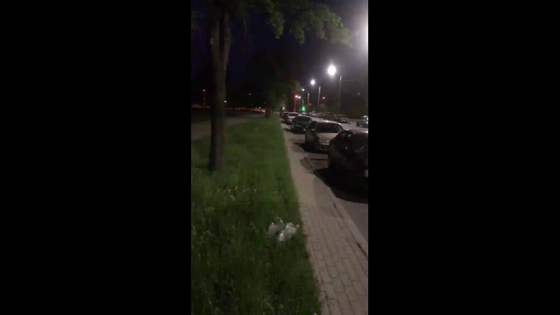 Шевроле анус