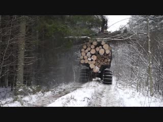 Logging in winter forest with timberjack 1210, big load