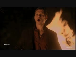 Niklaus "klaus" mikaelson/the vampire diaries/ the originals