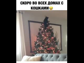 Звездой себя возомнила😂