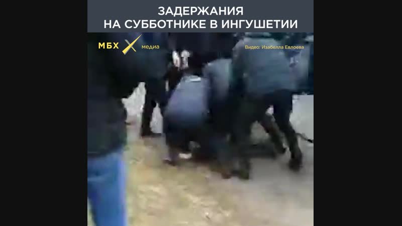 Активиста porn video – Полицейские избивают активиста в ингушетии