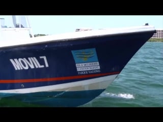 Ангел азул (angel azul)