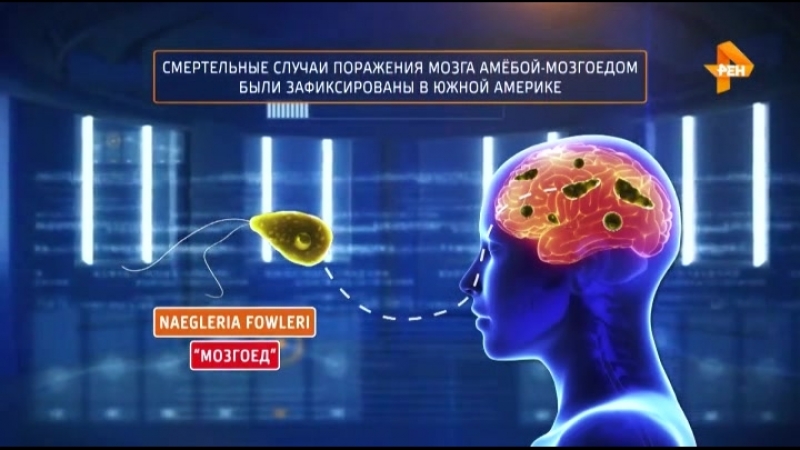 Тайны чапман идите вы в болота (эфир от 21 06 2018)