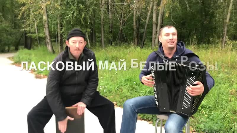 Семён жоров белые розы (кавер ласковый май на баяне) 👍👏🥁🎶
